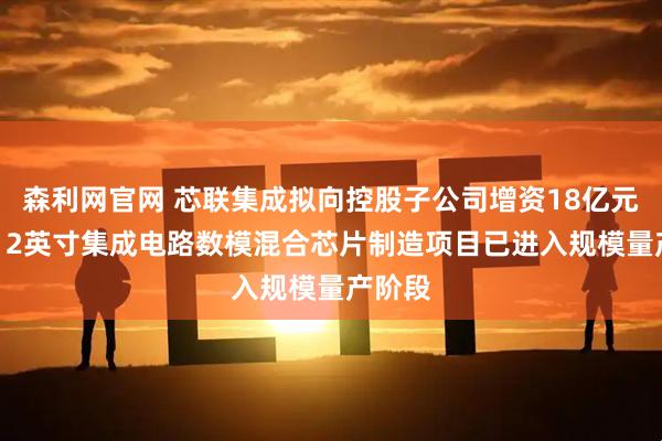 森利网官网 芯联集成拟向控股子公司增资18亿元 三期12英寸集成电路数模混合芯片制造项目已进入规模量产阶段